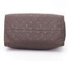 Bolsa Louis Vuitton Lumineuse PM Terre Monograma na internet