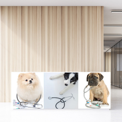 Painel Adesivo Pet Shop Veterinário Cachorro Gato - 0001pdt - comprar online