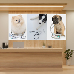 Painel Adesivo Pet Shop Veterinário Cachorro Gato - 0001pdt