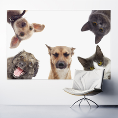 Adesivo de Parede Pet Shop Cachorros Animais Painel Veterinário Sala - 0002pad - loja online