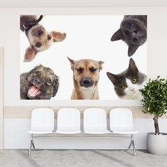 Adesivo de Parede Pet Shop Cachorros Animais Painel Veterinário Sala - 0002pad