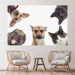 Imagem do Adesivo de Parede Pet Shop Cachorros Animais Painel Veterinário Sala - 0002pad