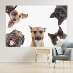 Adesivo de Parede Pet Shop Cachorros Animais Painel Veterinário Sala - 0002pad - comprar online