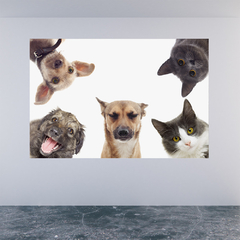 Adesivo de Parede Pet Shop Cachorros Animais Painel Veterinário Sala - 0002pad