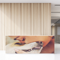 Painel Adesivo Pet Shop Veterinário Cachorro Gato - 0002pdt - comprar online