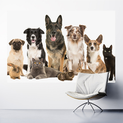 Adesivo de Parede Pet Shop Cachorros Animais Painel Veterinário Sala - 0003pad - loja online