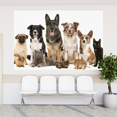 Imagem do Adesivo de Parede Pet Shop Cachorros Animais Painel Veterinário Sala - 0003pad