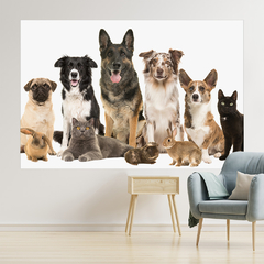 Adesivo de Parede Pet Shop Cachorros Animais Painel Veterinário Sala - 0003pad - comprar online