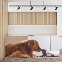 Painel Adesivo Pet Shop Veterinário Cachorro Gato - 0003pdt