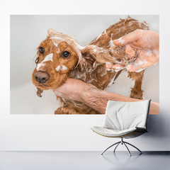 Adesivo de Parede Pet Shop Cachorros Animais Painel Veterinário Sala - 0004pad - loja online