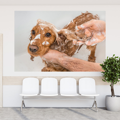 Imagem do Adesivo de Parede Pet Shop Cachorros Animais Painel Veterinário Sala - 0004pad