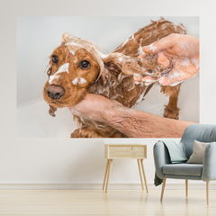 Adesivo de Parede Pet Shop Cachorros Animais Painel Veterinário Sala - 0004pad - comprar online