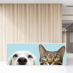 Painel Adesivo Pet Shop Veterinário Cachorro Gato - 0004pdt - comprar online