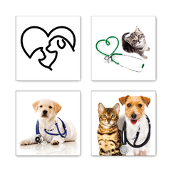 Kit 4 Placas Decorativas Pet Shop Veterinário Cachorros Gatos - 0006ktpl4 - comprar online