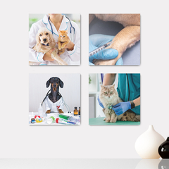 Kit 4 Placas Decorativas Pet Shop Veterinário Cachorros Gatos - 0007ktpl4