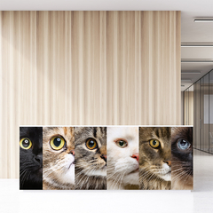 Painel Adesivo Pet Shop Veterinário Cachorro Gato - 0008pdt - comprar online