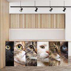 Painel Adesivo Pet Shop Veterinário Cachorro Gato - 0008pdt