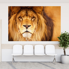Adesivo de Parede Leão Painel Sala Quarto Animais - 0010pad