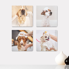 Kit 4 Placas Decorativas Pet Shop Veterinário Cachorros Gatos - 0011ktpl4