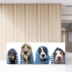 Painel Adesivo Pet Shop Veterinário Cachorro Gato - 0011pdt - comprar online