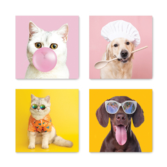Kit 4 Placas Decorativas Pet Shop Veterinário Cachorros Gatos - 0013ktpl4 - comprar online