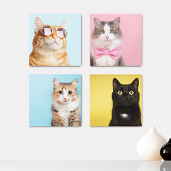 Kit 4 Placas Decorativas Pet Shop Veterinário Cachorros Gatos - 0014ktpl4