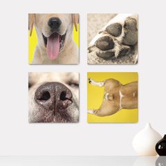 Kit 4 Placas Decorativas Pet Shop Veterinário Cachorros Gatos - 0015ktpl4