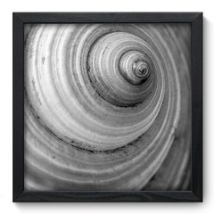 Quadro Decorativo com Moldura - Concha - 001qnd