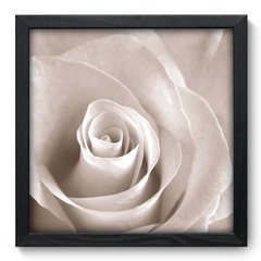 Quadro Decorativo com Moldura - Rosa - 001qnf