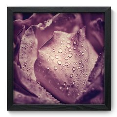 Quadro Decorativo com Moldura - Rosa - 002qnf