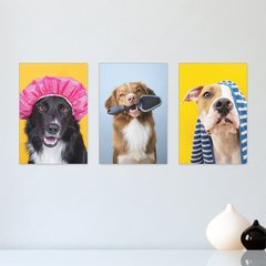 Kit 3 Placas Decorativas Pet Shop Cachorros Banho - 0031ktpl