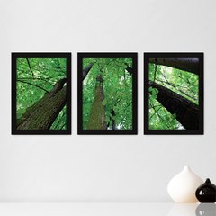 Kit Com 3 Quadros - Floresta Árvores Paisagem - 003kq02p