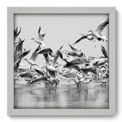 Quadro Decorativo com Moldura - Pássaros - 004qns - comprar online