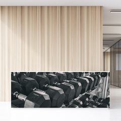 Painel Adesivo Academia Fitness Musculação - 0051pdt - comprar online