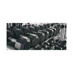 Painel Adesivo Academia Fitness Musculação - 0051pdt - Allodi