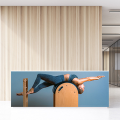 Painel Adesivo Academia Fitness Pilates - 0054pdt - comprar online