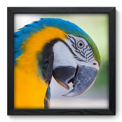 Quadro Decorativo com Moldura - Arara - 005qns