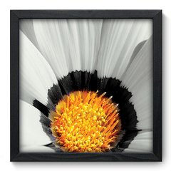 Quadro Decorativo com Moldura - Flor - 007qnf