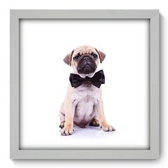 Quadro Decorativo com Moldura - Pug - 007qns - comprar online