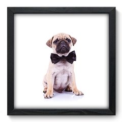 Quadro Decorativo com Moldura - Pug - 007qns