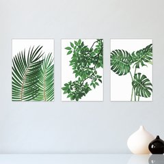 Kit 3 Placas Decorativas Folhas Folhagens Verde Natureza Casa Quarto Sala - 0082ktpl