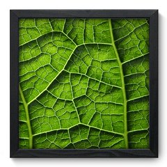 Quadro Decorativo com Moldura - Folha - 008qnd