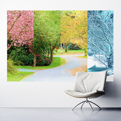 Adesivo de Parede Estações Ano Paisagem Natureza Painel Sala Escritório Quarto - 0094pad - Allodi