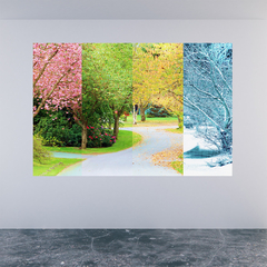 Adesivo de Parede Estações Ano Paisagem Natureza Painel Sala Escritório Quarto - 0094pad