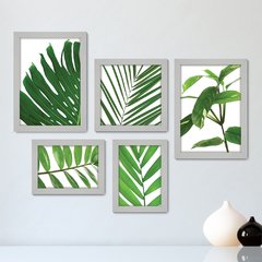 Kit Com 5 Quadros Decorativos - Folhagem Folhas - 009kq01 - comprar online