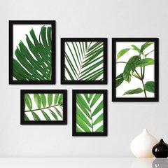 Kit Com 5 Quadros Decorativos - Folhagem Folhas - 009kq01