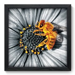 Quadro Decorativo com Moldura - Flor - 009qnf