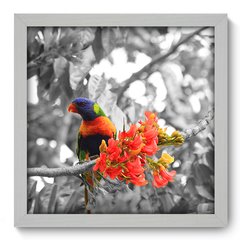 Quadro Decorativo com Moldura - Pássaro - 009qns - comprar online