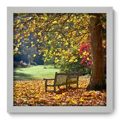Quadro Decorativo com Moldura - Parque - 010qnd - comprar online