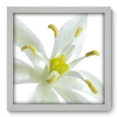 Quadro Decorativo com Moldura - Flor - 010qnf - comprar online